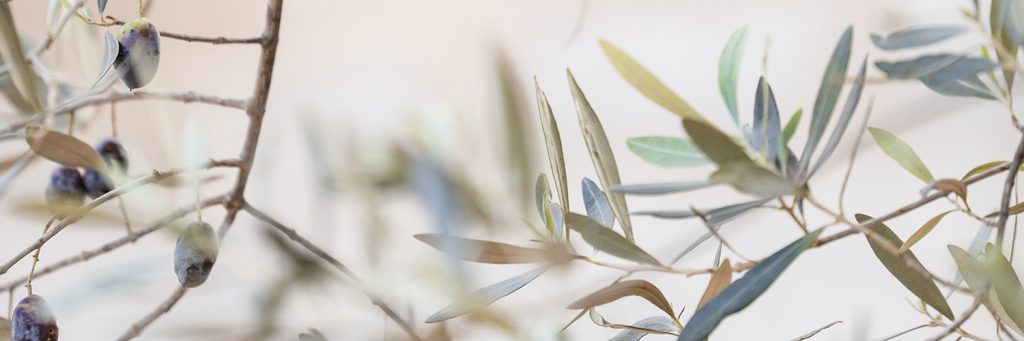 now self awarness cal reiet holistic retreat mallorca