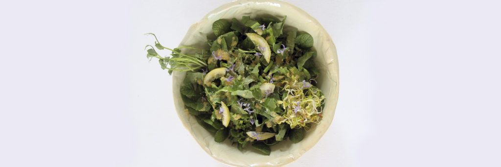 wild dandelion detox salad cal reiet holistic retreat santanyi mallorca